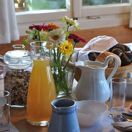 Grosszuegige Ferienwohnung Am Skigebiet Boedele Mit Rheintalblick Dornbirn Buitenkant foto