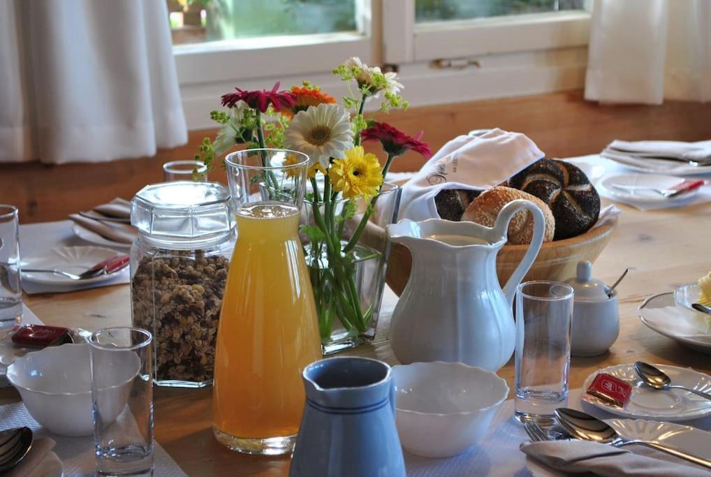 Grosszuegige Ferienwohnung Am Skigebiet Boedele Mit Rheintalblick Dornbirn Buitenkant foto